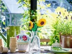 Sunflowers - View 5