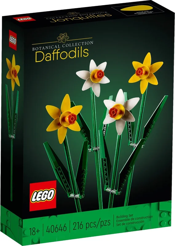Daffodils - View 2