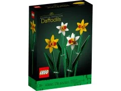 Daffodils - View 2