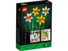 Daffodils - View 3