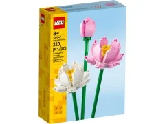 Lotus Flowers - View 2
