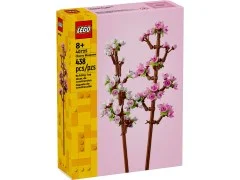Cherry Blossoms - View 3