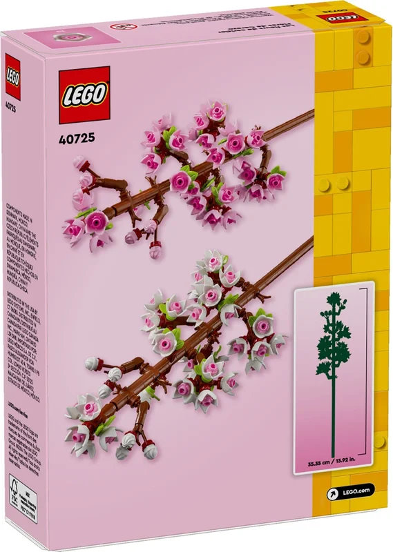 Cherry Blossoms - View 4