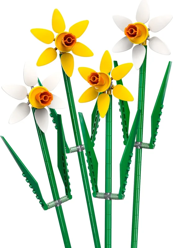 Daffodils - View 2