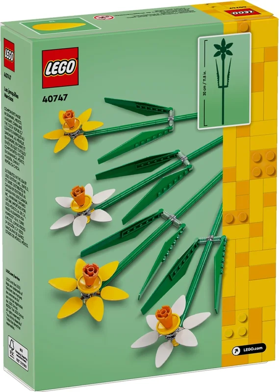 Daffodils - View 3