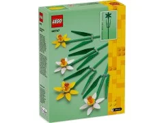 Daffodils - View 3