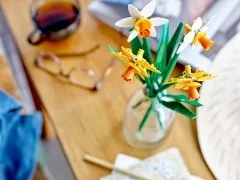 Daffodils - View 5
