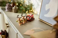 Santa's Holiday Sleigh Adventure - View 7
