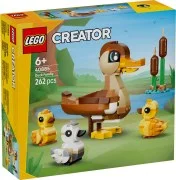 Duck Family - View 2