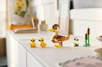Duck Family - View 5