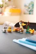 Duck Family - View 7