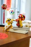 Lion Dance - View 5