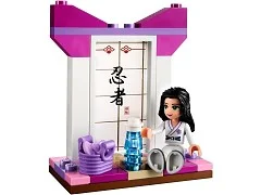 Emma's Karate Course - View 4
