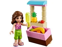 Olivia's Beach Buggy - View 4