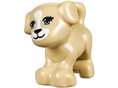 Puppy Training - View 7