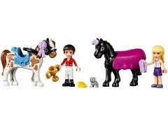 Heartlake Riding Club - View 3