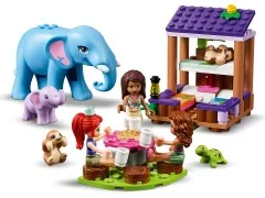 Jungle Rescue Base - View 8