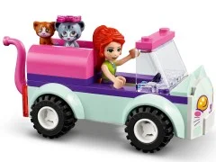 Cat Grooming Car - View 5