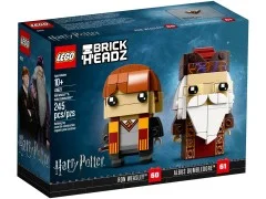 Ron Weasley & Albus Dumbledore - View 2