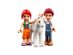 Pony-Washing Stable - View 4
