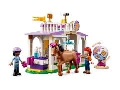 Horse Training - View 3
