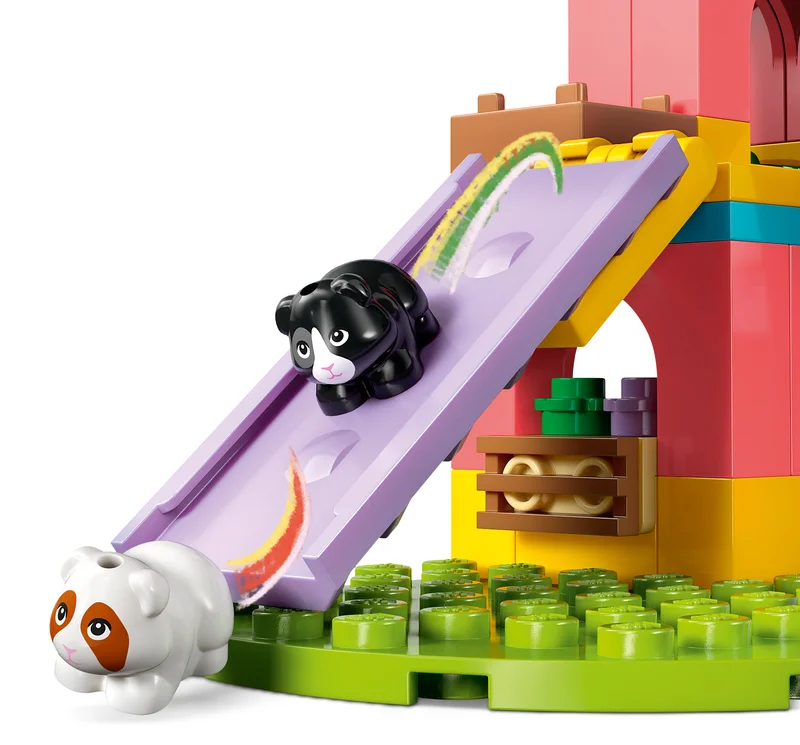 Guinea Pig Playground - View 2