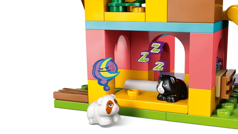 Guinea Pig Playground - View 4