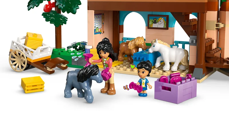 Pony Ranch & Stable - View 3