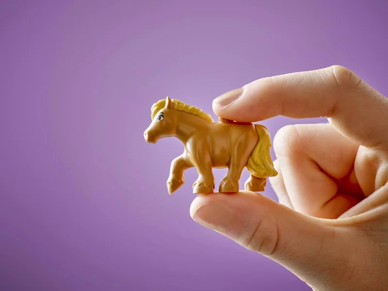 Pony Ranch & Stable - View 9