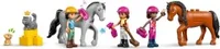 Horse Stable and Riding Academy - View 7