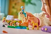 Horse & Baby Foal Trailer - View 5