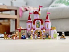 Belle and the Beast's Castle - View 5
