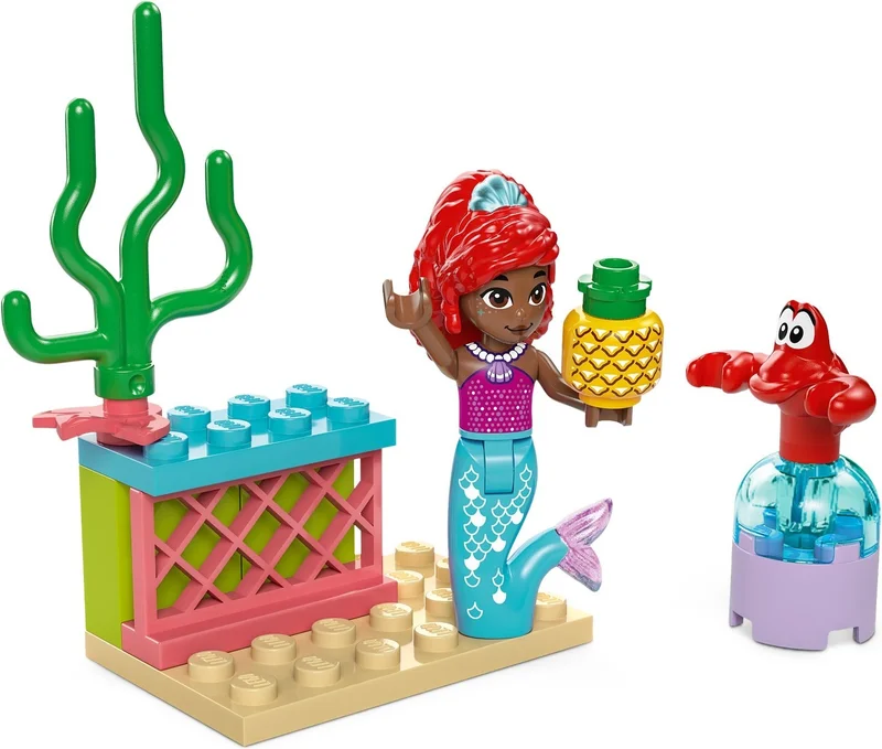 Ariel's Music Stage - View 2