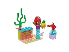 Ariel's Music Stage - View 2