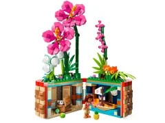 Moana's Flowerpot - View 2