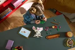 Pua - View 5