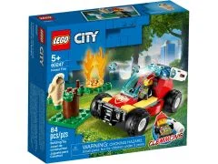 Forest Fire - View 2