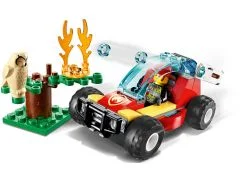 Forest Fire - View 3