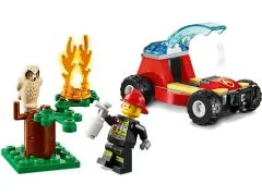Forest Fire - View 4