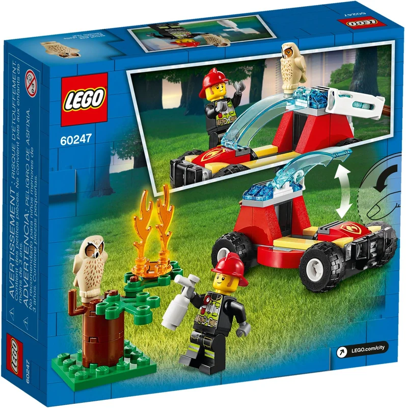 Forest Fire - View 5
