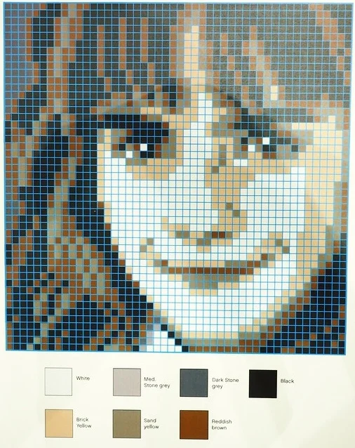 Hermione Granger Mosaic - LEGO Set 6268522-1 - 2018