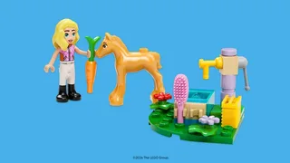 LEGO 6636931-1 First Friendship — 30 pieces, Friends theme