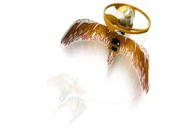 Golden Dragon Master - View 4