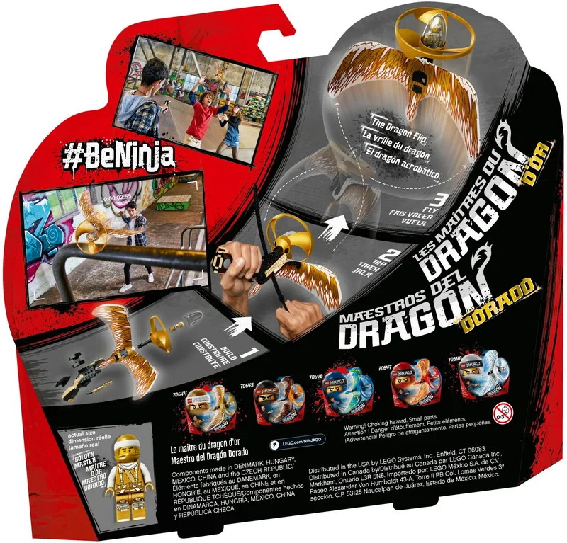 Golden Dragon Master - View 5