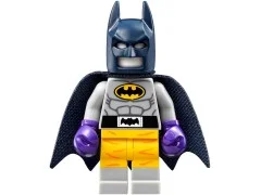 Batcave Break-in - View 5