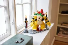 The Mighty Bowser - View 5