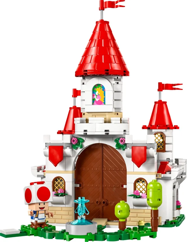 Battle with Roy at Peach's Castle - View 3