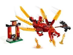 Kai's Fire Dragon - View 3