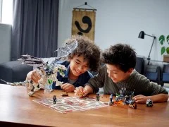 Skull Sorcerer's Dragon - View 5