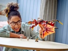 Fire Dragon Attack - View 3